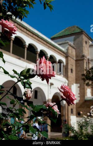 L'Afrique, Maroc, Casablanca. Mahakma Law Courts (aka Mahakma du Pacha) accueil à la loi islamique tribunaux. Cour intérieure jardin de roses. Banque D'Images