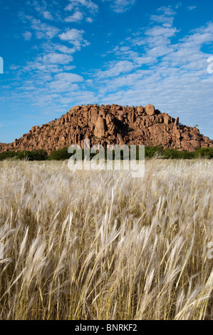 Paysage à Aba-Huab Twyelfontein La Namibie Banque D'Images