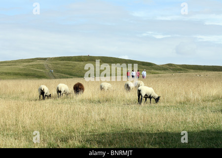 La marche sur le White Horse Hill dans l'Oxfordshire, Angleterre Banque D'Images