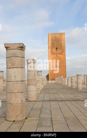 La Tour Hassan à la mosquée inachevée de Rabat, Maroc Banque D'Images