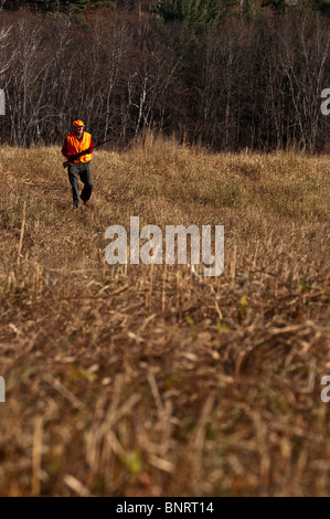 La chasse aux oiseaux l'homme plus âgé dans un champ. Banque D'Images