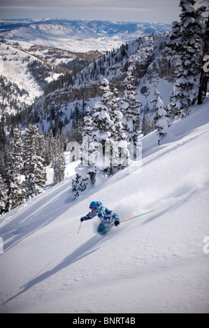 Ski homme poudre profonde, Alta, en Utah. Banque D'Images