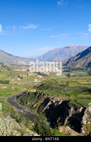 Vue sur le Canyon du Colca majestueux au Pérou Banque D'Images