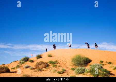 Les touristes l'ascension de la dunes de sable du désert de Simpson Parc National. Birdsville, Queensland, Australie. Banque D'Images