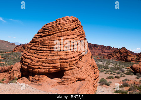 Ruche Rock Formation dans la Vallée de Feu (Nevada, USA) Banque D'Images