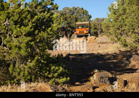 Sedona, Arizona, USA - Red Rock offroad 4X4 tours - à la tête de Schnebly Hill Road dirt track Banque D'Images