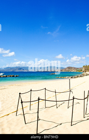 Clôturé en tortue de mer nichent sur la plage de LaSource Resort, Grenade, Îles du vent, Caraïbes. Banque D'Images
