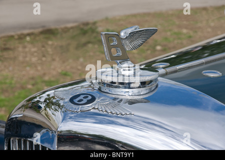 Badge du radiateur et de l'emblème sur un 1936 Bentley Motor Car. Banque D'Images