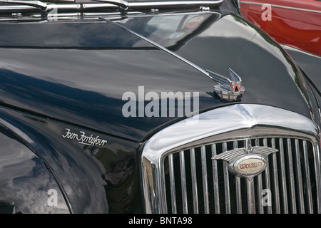 Badge du radiateur sur le capot d'une Wolseley Quatre/quarante-quatre Banque D'Images