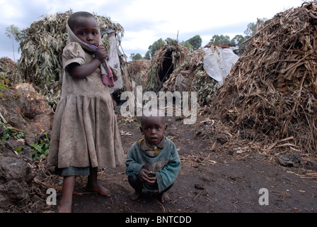 De jeunes enfants congolais déplacés se trouvent dans des cabanes de paille improvisées dans un camp de déplacés de fortune dans la province du Nord-Kivu, en Afrique du Congo Banque D'Images