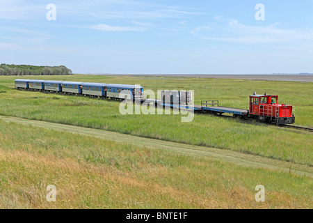 Train de l'île, l'île de Wangerooge, en Frise orientale, Basse-Saxe, Allemagne Banque D'Images