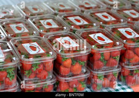 Barquettes de fraises en vente au marché de fermiers, Warwick, Royaume-Uni Banque D'Images