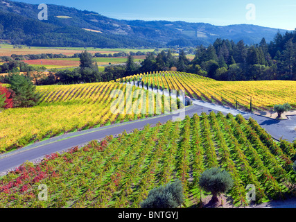 Vue sur vignes en face du Castello di Amorosa. Napa Valley, Californie. Parution de la propriété Banque D'Images