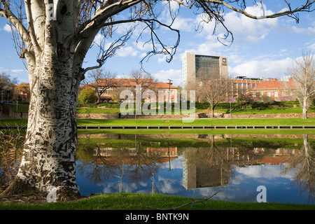 Vue sur la paisible rivière Torrens à l'Université d'Adélaïde. Adélaïde, Australie du Sud, Australie. Banque D'Images