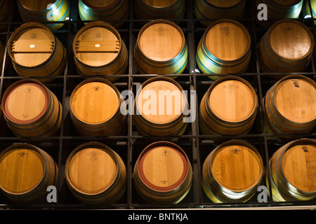 Des tonneaux de vin dans le Centre National du vin de l'Australie. Adélaïde, Australie du Sud, Australie. Banque D'Images