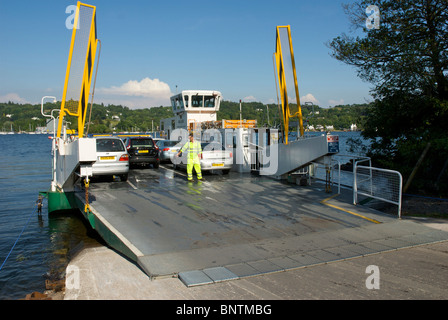 Mallard, le Windermere Ferry, Parc National de Lake District, Cumbria, Angleterre, Royaume-Uni Banque D'Images