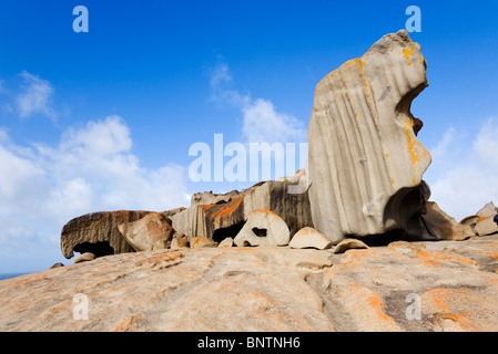Remarkable Rocks sur la côte sud de l'île kangourou en Australie, l'Australie. Banque D'Images