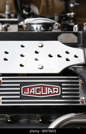 Un moteur de voiture Jaguar. Banque D'Images