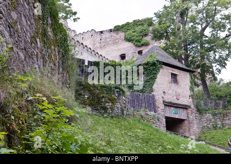 Mont Castle Banque D'Images