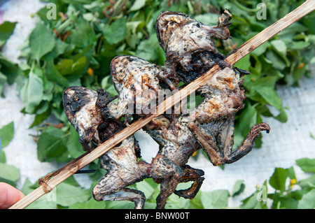 Grenouilles grillées sur un bâton marché Laos Luang Prabang Banque D'Images