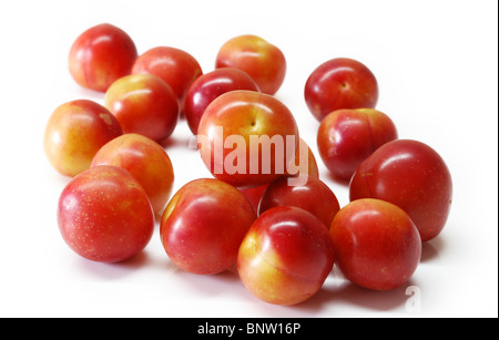 Les prunes cerises sur fond blanc Banque D'Images