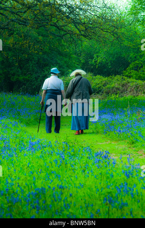 Couple walking in the Blue Bell wood en Angleterre Suffolk Buttley Banque D'Images