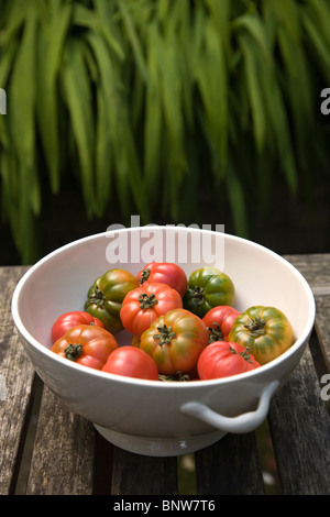 Les tomates de la Méditerranée dans une passoire. Photo:Jeff Gilbert Banque D'Images