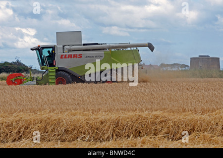 Rendmt Lexion moissonneuse-batteuse Claas 570 Banque D'Images