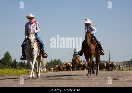 Coureurs prenant part à un transport de bétail d'apporter à l'oriente Cheyenne Frontier Days, sur leur façon de Cheyenne (Wyoming) Banque D'Images