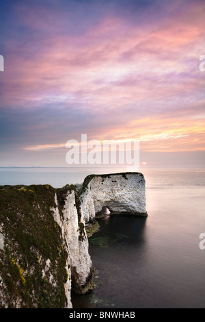 Old Harry Rocks à l'aube sur la côte jurassique du Dorset près de Poole, UK Banque D'Images