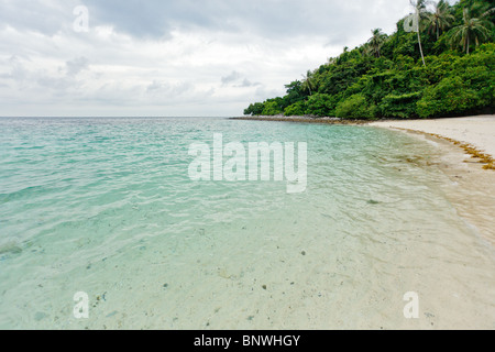 Wild tropical beach, coral island, Malaisie Banque D'Images