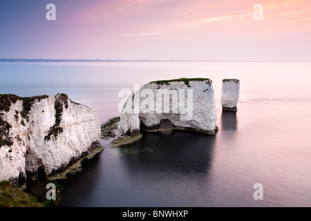 Old Harry Rocks à l'aube sur la côte jurassique du Dorset près de Poole, UK Banque D'Images