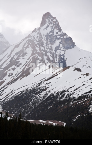 Hilda Peak et le Mont Anthabasca Promenade des Glaciers, la frontière entre les parcs nationaux Banff et Jasper Alberta Canada Banque D'Images