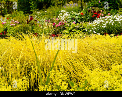 Jardins d'ornement floral dans Chenies Manor House, Bucks, Royaume-Uni Banque D'Images