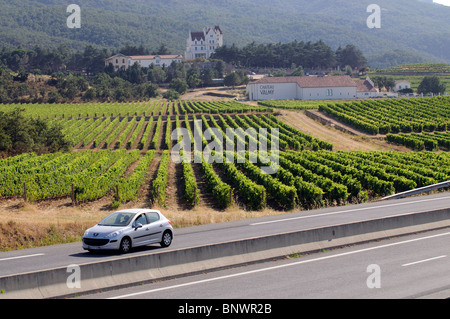 Les vignes de Château Valmy dans les Côtes du Roussillon région viticole du sud de la France Banque D'Images