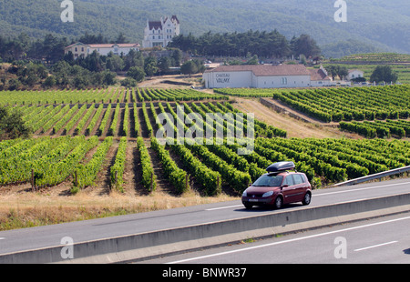 Les vignes de Château Valmy dans les Côtes du Roussillon région viticole du sud de la France Banque D'Images