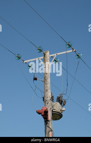 Une ligne électrique (fils/câbles) et d'un transformateur sur un poteau télégraphique en bois au bord d'un champ près de Bridport, Dorset, UK. Banque D'Images