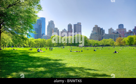 Great lawn in Central Park Banque D'Images