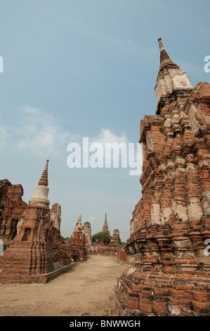 Wat Maha That, Ayutthaya, Province d'Ayutthaya, Thaïlande, Asie Banque D'Images