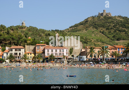 Collioure une petite station balnéaire méditerranéenne française avec vignes et vignobles sur le coteau de Côtes du Roussillon, France Banque D'Images