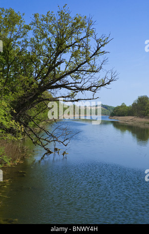 La rivière Ropotamo, réserver sur la côte de la mer Noire, Balkans, Bulgarie Banque D'Images