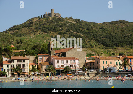 Collioure une petite station balnéaire méditerranéenne française avec vignes et vignobles sur le coteau de Côtes du Roussillon, France Banque D'Images