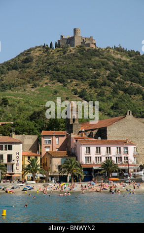 Collioure une petite station balnéaire méditerranéenne française avec vignes et vignobles sur le coteau de Côtes du Roussillon, France Banque D'Images