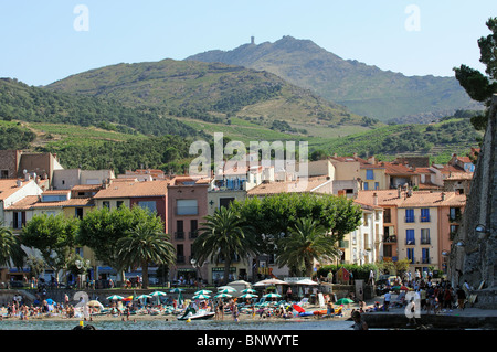 Collioure une petite station balnéaire méditerranéenne française avec vignes et vignobles sur le coteau de Côtes du Roussillon, France Banque D'Images