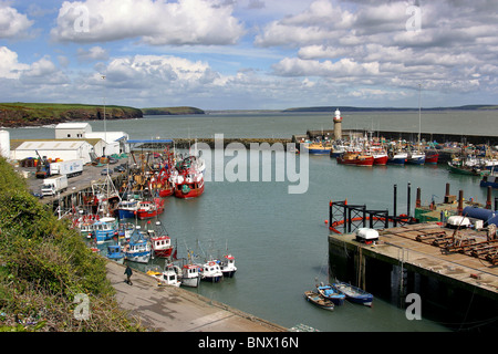 L'Irlande, Waterford, Dunmore East, port d'accueil Banque D'Images