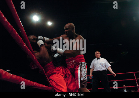 Heavyweight Danny Williams (à gauche) bat Matt Skelton dans leur première réunion à l'ExCel Arena à Londres UK Banque D'Images