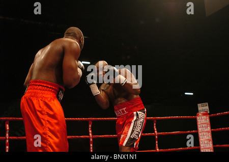 Heavyweight Danny Williams (à gauche) bat Matt Skelton dans leur première réunion à l'ExCel Arena à Londres UK Banque D'Images