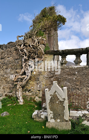 Les pierres tombales dans le cimetière de Cill Chriosd Kilchrist / Église sur l'île de Skye, Highlands, Scotland, UK Banque D'Images