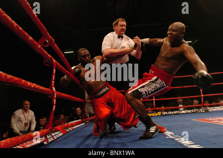 Heavyweight Danny Williams (à gauche) bat Matt Skelton dans leur première réunion à l'ExCel Arena à Londres UK Banque D'Images