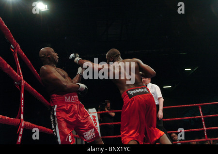 Heavyweight Danny Williams bat Matt Skelton dans leur première réunion à l'ExCel Arena à Londres UK Banque D'Images